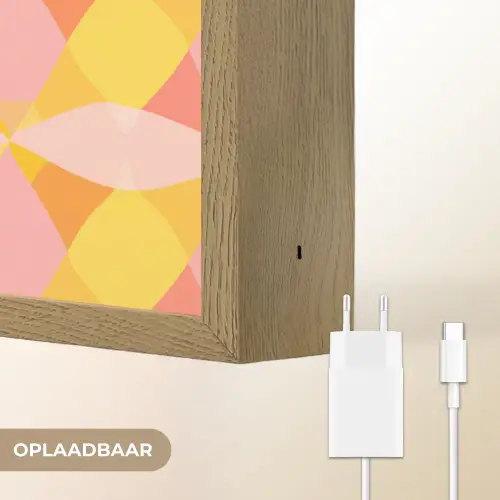 Kleurrijk - Ruitpatroon - Bladvormen Light Box met batterij (Wandlamp) middel 907 -USP_websiteoplaadbaarNL