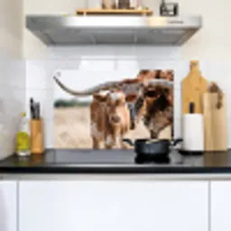 Texas Longhorn - Kalf - Weide - Dieren Inductie beschemer met haakjes klein -sfeer2