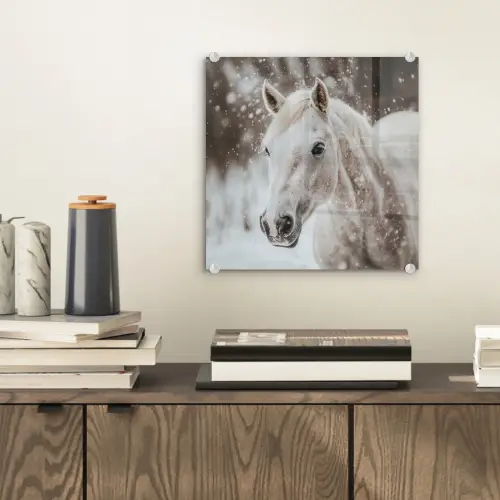 Paard - Wit - Winter - Natuur - Sneeuw - Dieren plexiglas 5mm klein -sfeer1