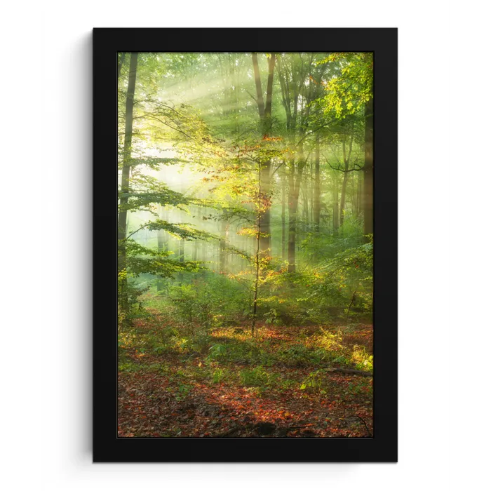 Zon - Bos - Bomen - Natuur - Herfst fotolijst zwart zonder passe partout klein -3d