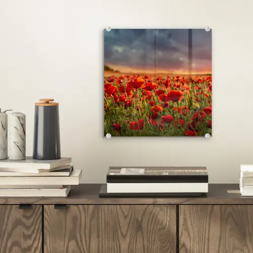 Zonsondergang - Klaprozen - Rood - Bloemen - Veld - Natuur plexiglas 5mm klein -sfeer1