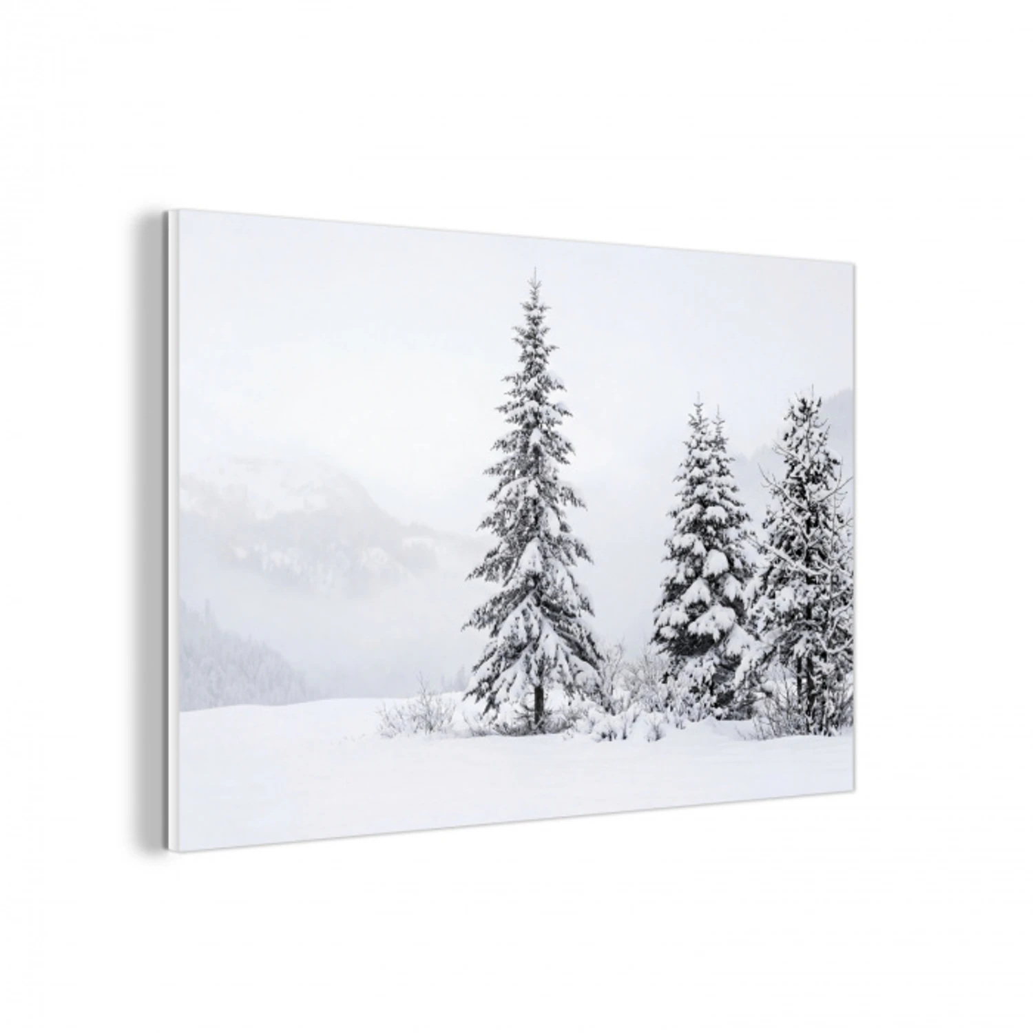Fijnsparren - Sneeuw - Winter - Landschap - Stilte forex 5mm xxl -3d