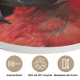 Ara - Portret - Rood Akoestische PET Vilt - Rond klein -closeup_FR
