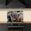 Schotse hooglander - Verf - Koe keuken achterwand spatscherm klein -sfeer1