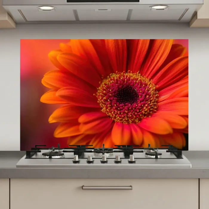 Oranje - Gerbera - Intens keuken achterwand spatscherm klein -3d_website