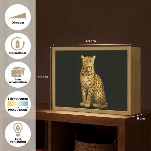 Panter - Realistisch - Bruin Light Box met batterij (Wandlamp) middel -USP_websiteoverzichtNL