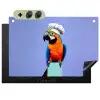 Papegaai - Koksmuts - Vogel - Leuk Inductie beschemer met haakjes klein -3d