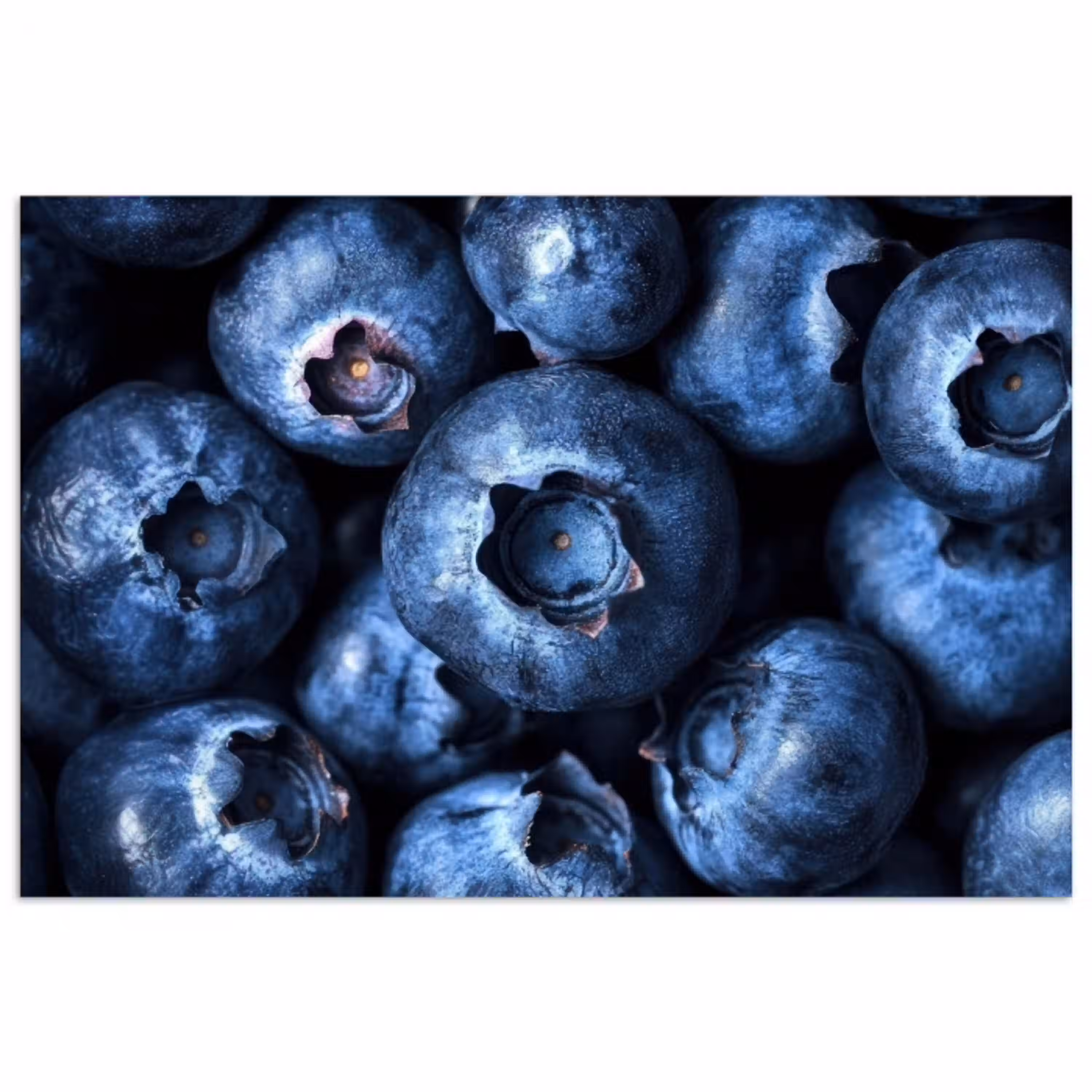 Bessen - Blauw - Fruit poster papier klein -3d