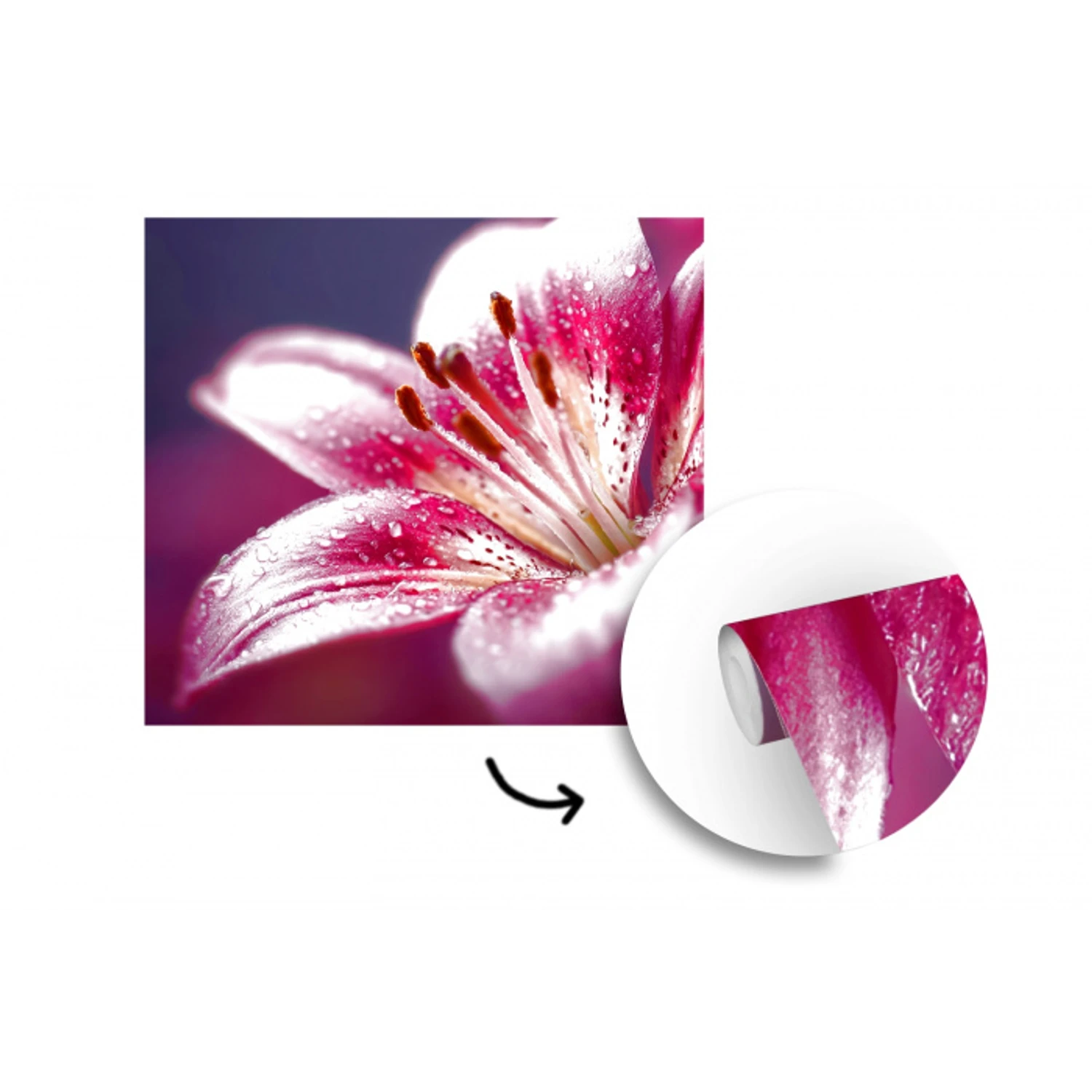 Roze - lelie - Dauwdruppels fotobehang vinyl groot -3d