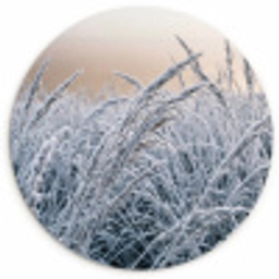 Rijp - Gras - Kristallen - Winter - Minimalistisch Wandcirkel kunststof plaat 5mm dik klein -3d