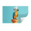 Papegaai - Koksmuts - Grappig - Vogel Muursticker klein -3d