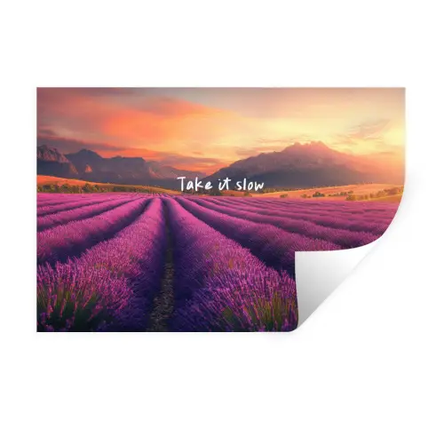 Lavendelveld - Quote - Zonsondergang Muursticker klein -3d