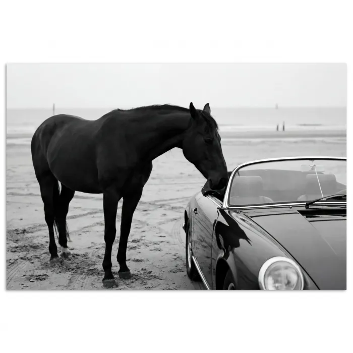 Paard - Auto - Zwart - Wit poster papier klein -3d