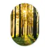 Bos - Zon - Bomen - Gras - Landschap  - Natuur Wandcirkel Ovaal Forex klein -3d