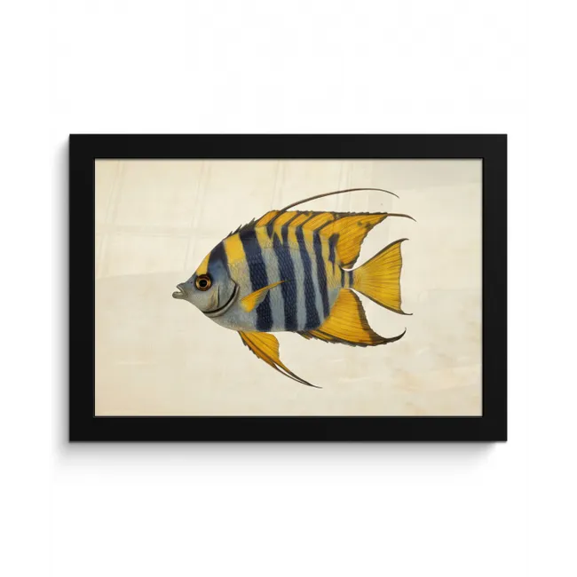 Vis - Sierlijk - Vinnen - Illustratie fotolijst zwart zonder passe partout klein -3d