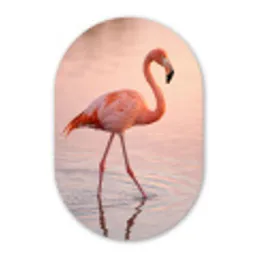 Flamingo - Water - Roze Wandcirkel Ovaal Aluminium middel -3d