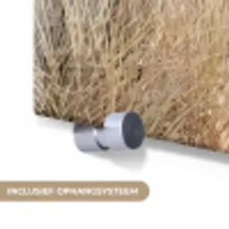 Duinen - Strand - Beige plexiglas 5mm klein -zzsysteem_NL