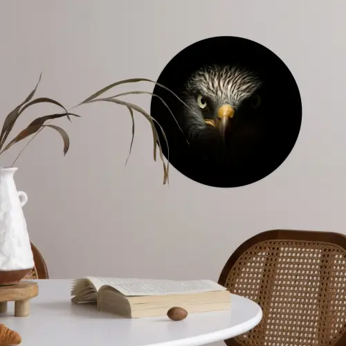 Vogel - Adelaar - Roofvogels - Oog - Snavel - Licht Wandcirkel behangsticker klein -sfeer3