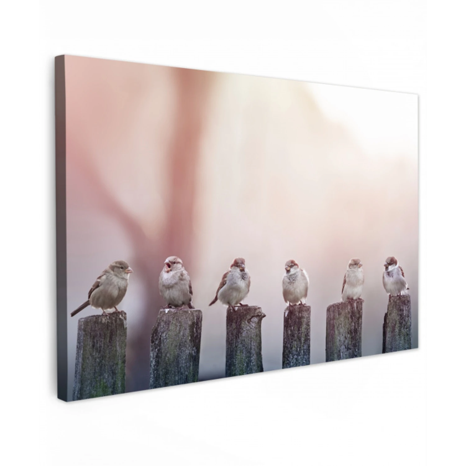 Mussen op Houten Palen Tuinposter op houten frame 2 cm dik klein -3d