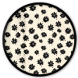 Madeliefjes - Grafisch - Zwart - Beige Fotolijst rond zonder passe partout klein 856 -3d