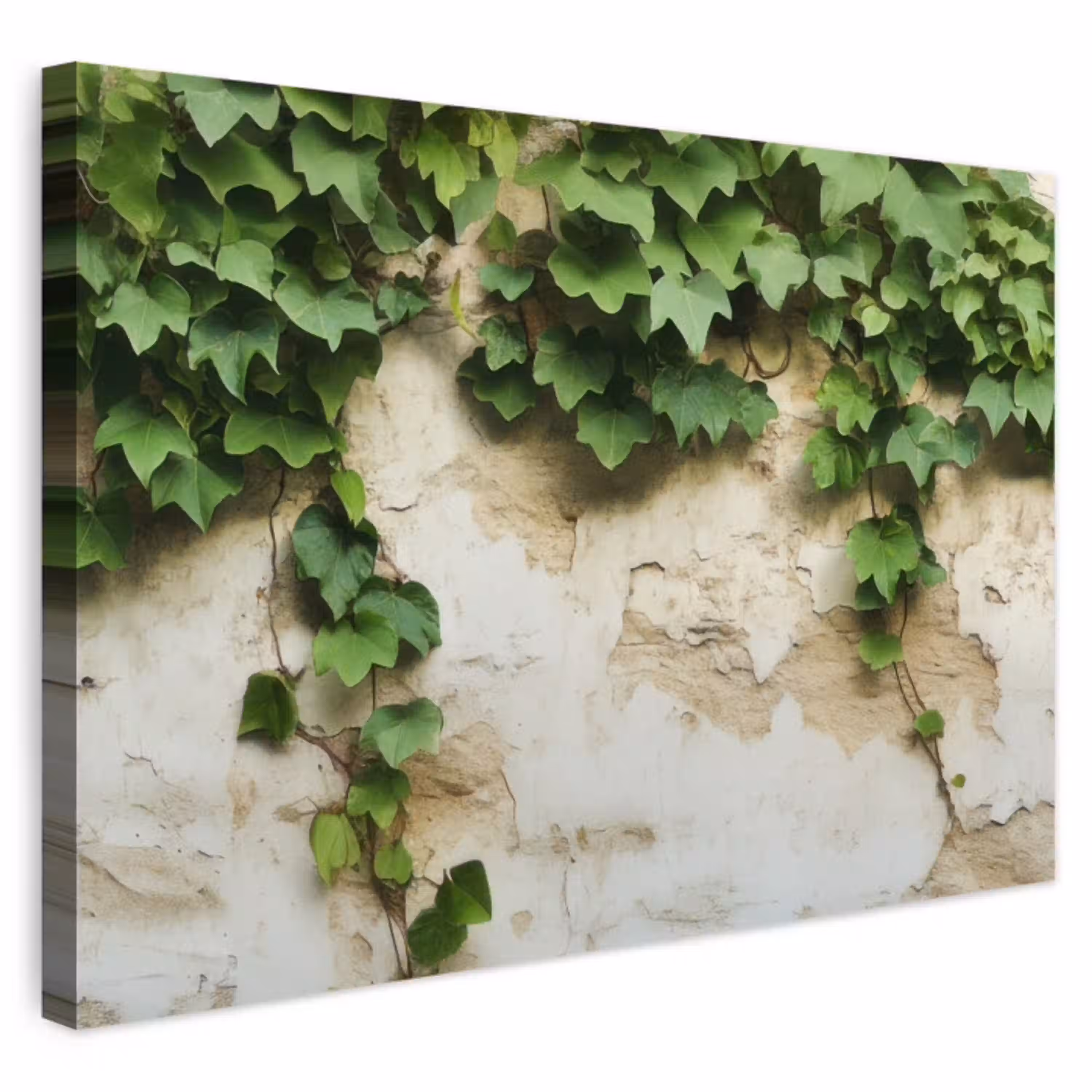 Klimop - Muur - Groen Tuinposter op houten frame 2 cm dik klein -3d