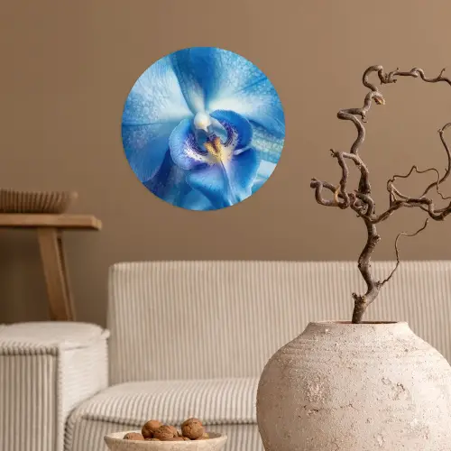 Blauw - Orchidee - Elegeant Wandcirkel behangsticker klein -sfeer1