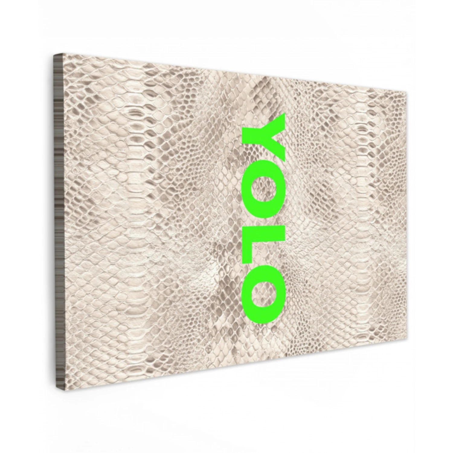YOLO - Groen - Neon - Slangenprnt Tuinposter op houten frame 2 cm dik klein -3d