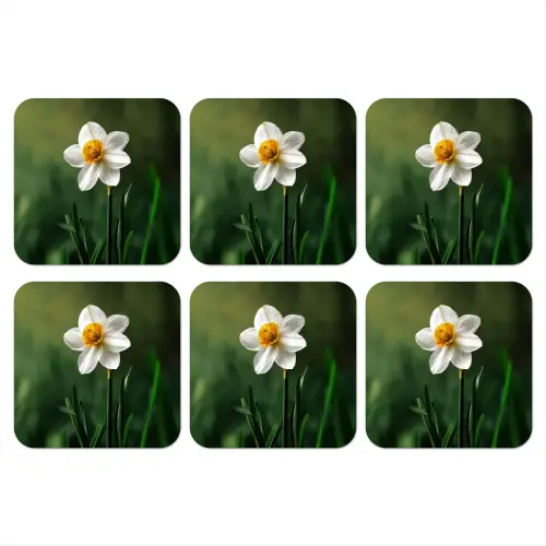 Narcis - Bloem - Wit - Grassprieten onderzetter kurk middel -3d