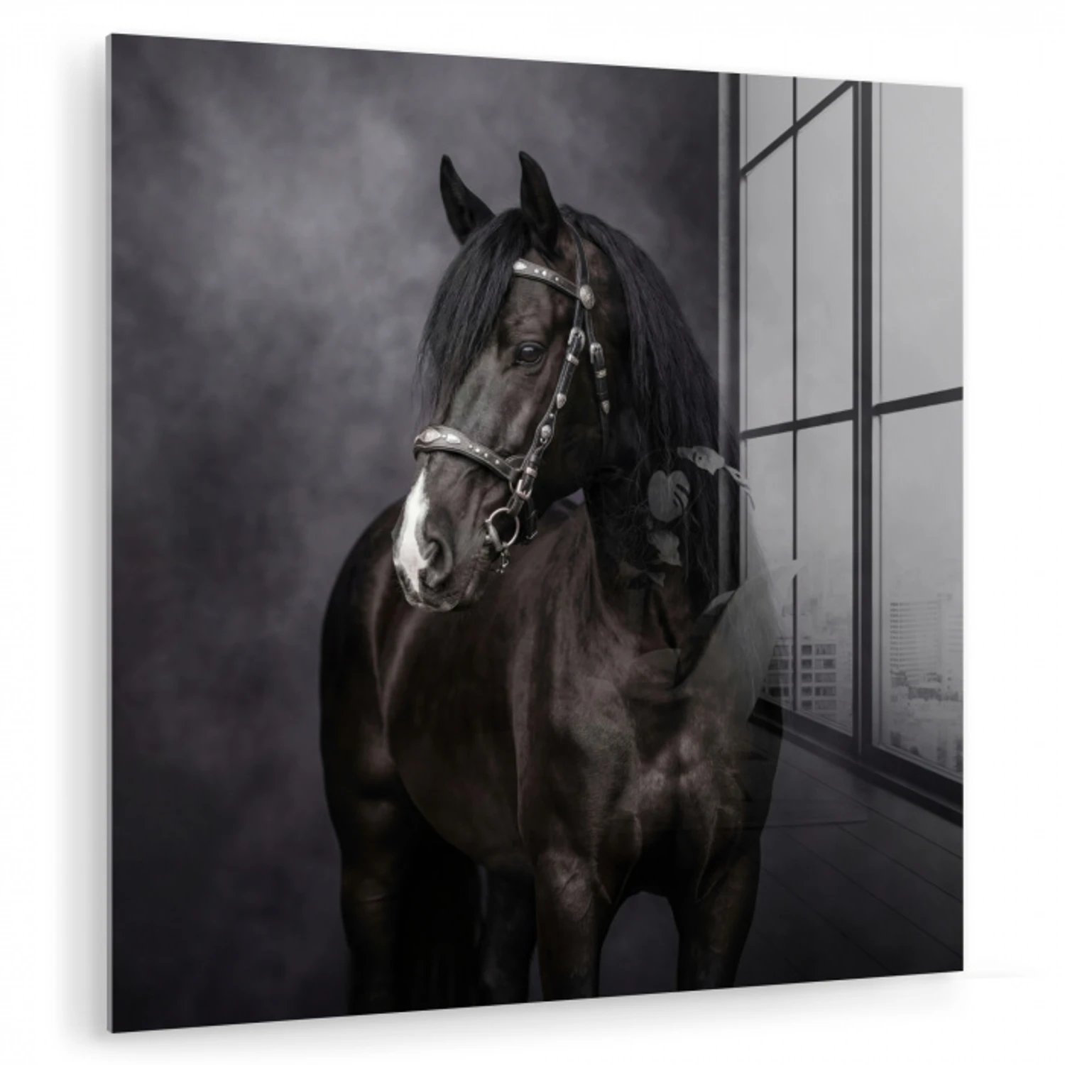 Portret - Paard - Zwart plexiglas 5mm klein -zzzproduct_nieuw