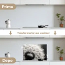 Paardenbloem - Zwart - Wit keuken achterwand spatscherm klein -voor_na_IT