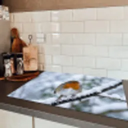 Roodborstje - Tak - Sneeuw - Winter - Levendig Inductie beschermer vinyl 3mm klein -sfeer3
