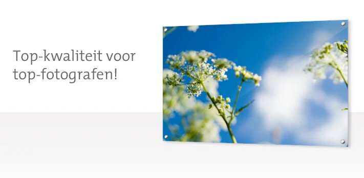 Banner klantreacties fotoopglas