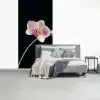 Orchidee - Bloemen - Zwart - Roze - Knoppen fotobehang vinyl groot -slaapkamer