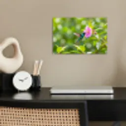 Kolibrie - Bloem - Natuur - Groen poster papier klein -sfeer1