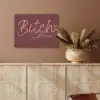 Bitch please - Rood - Blauw PET vilt klein -sfeer4
