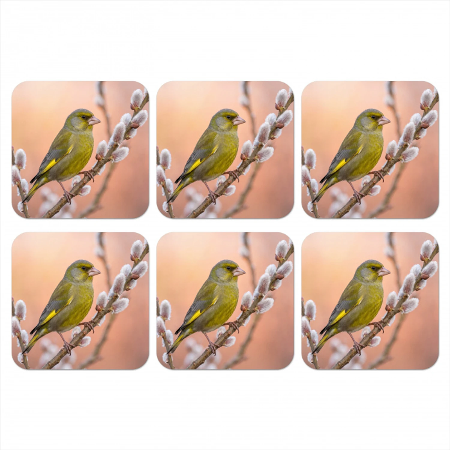 Groenling - Katjes - Lente - Natuur - Zacht onderzetter kurk middel -3d