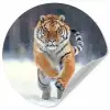 Tijger - Landschap - Sneeuw - Winter - Dieren Wandcirkel behangsticker klein -3d