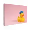 Matroos - Eend - Roze canvas 2cm klein -z3d
