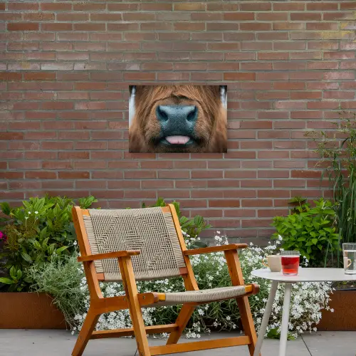 Schotse hooglander - Neus - Bruin Tuinposter op houten frame 2 cm dik klein -sfeer3