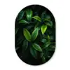 Bladeren - Regendruppels - Licht - Groen Wandcirkel Ovaal Glas middel -3d