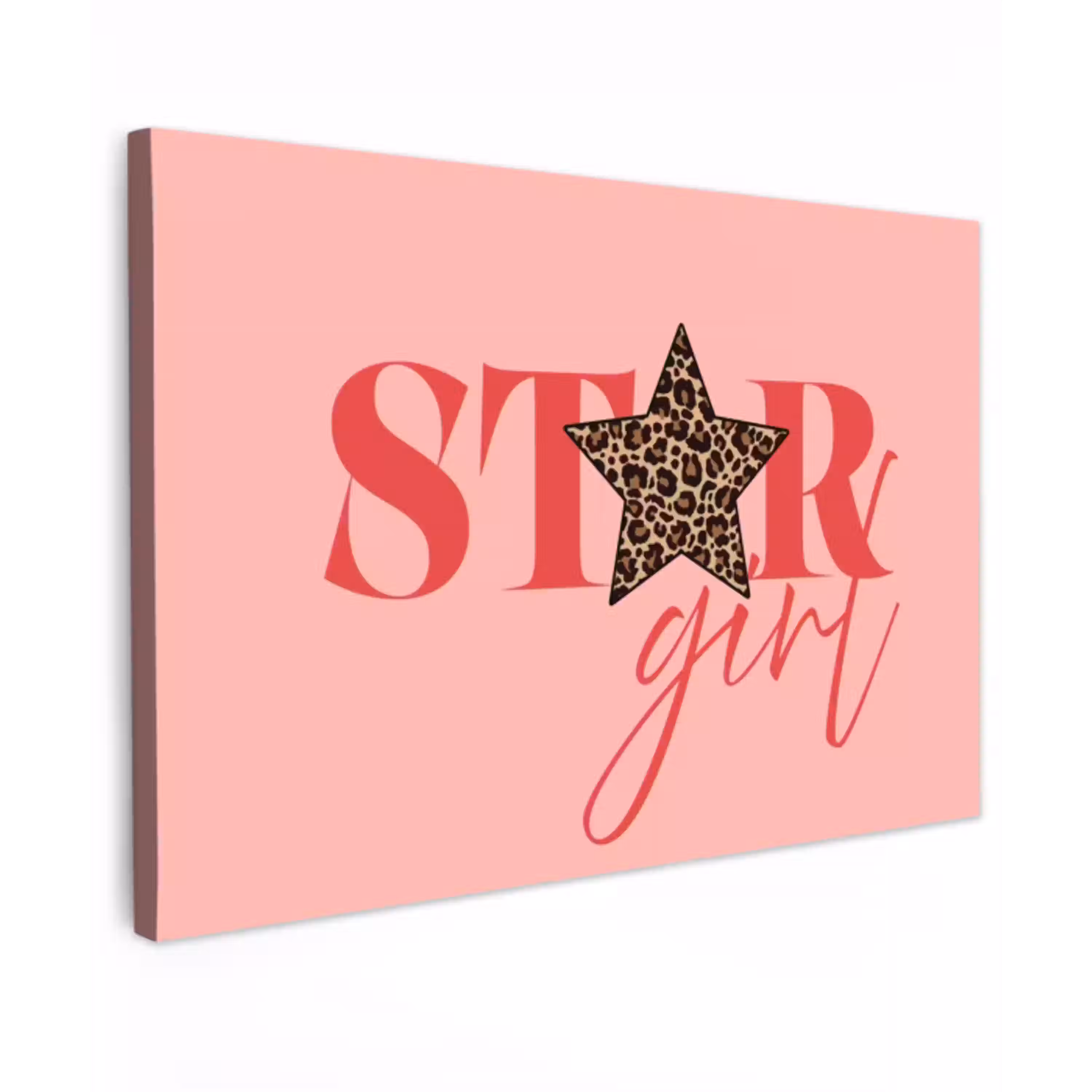 Star girl - Roze - Panter - Ster Tuinposter op houten frame 2 cm dik klein -3d