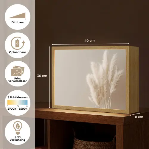 Pampasgras - Pluimen - Pastel - Wit Light Box met batterij (Wandlamp) middel -USP_websiteoverzichtNL