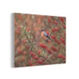 Goudvink - Bessen - Herfst - Natuur - Kleurrijk PET vilt klein -3d