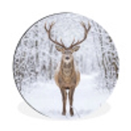 Hert - Winter - Bos - Natuur - Wit Wandcirkel aluminium klein -3d