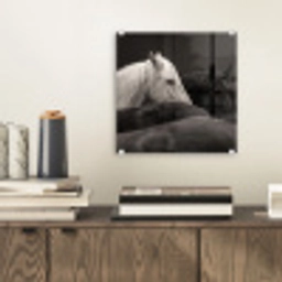 Paarden - Zwart - Wit - Kudde plexiglas 5mm klein -sfeer1