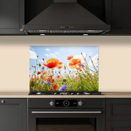 Bloemen - Klaproos - Lente - Natuur - Rood - Blauw keuken achterwand spatscherm klein -sfeer1