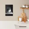 Langharige kat - Zonnebril - Spaghetti - Humor - Zwart - wit KitchenYeah - Keuken - Canvas klein -sfeer1