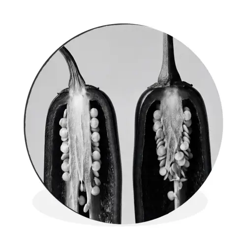Pepers - Zwart - Wit - Zaadlijsten Wandcirkel aluminium klein -3d