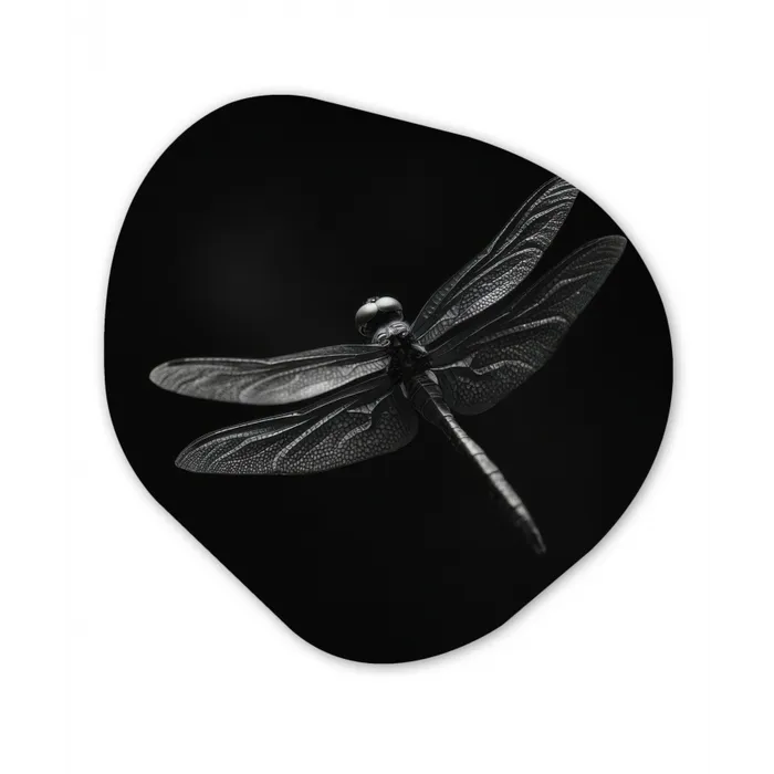 Libelle - Dieren - Zwart - Insect Wandcirkel Organisch Aluminium middel -3d