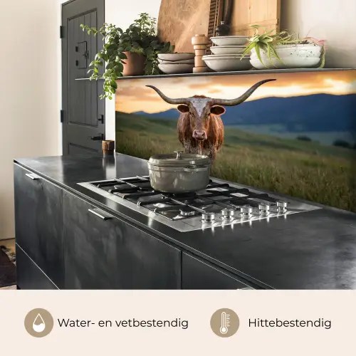 Longhorn - Landschap - Zonsondergang keuken achterwand 2 middel -usp_NL